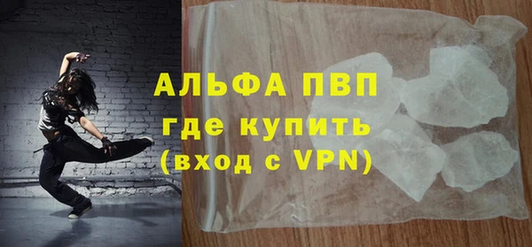 прущие грибы Кинешма