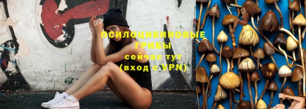 mix Козельск