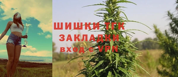 соль курить ск Козловка