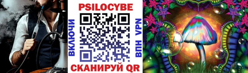 Галлюциногенные грибы Psilocybe  Называевск 